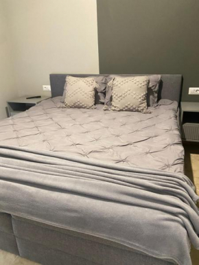 Apartamente cu un dormitor